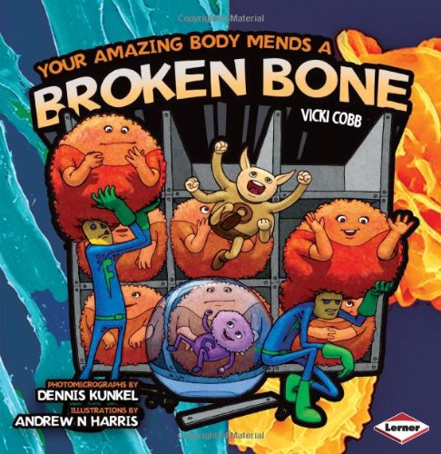 9780761344230: Your Amazing Body Mends a Broken Bone: No. 1