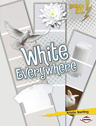 Stock image for White Everywhere for sale by Better World Books