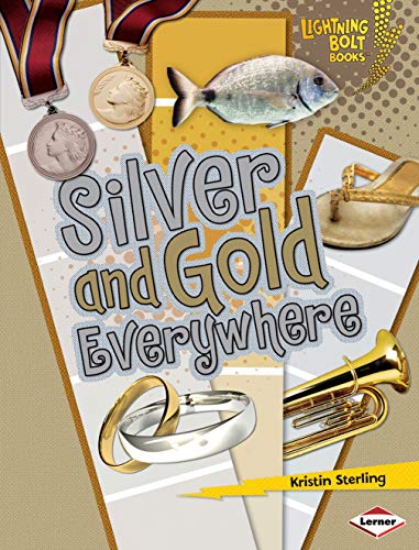 Stock image for Silver and Gold Everywhere for sale by Better World Books