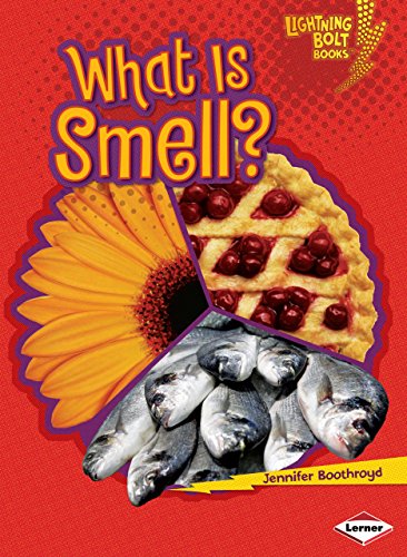 Beispielbild fr What Is Smell? zum Verkauf von Better World Books