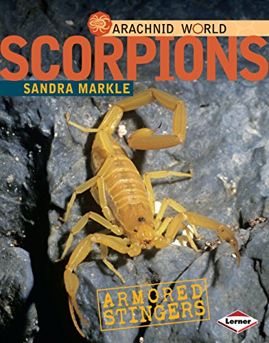 9780761350378: Scorpions: Armored Stingers (Arachnid World)