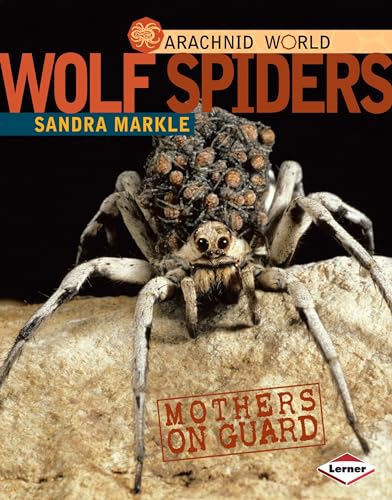 Imagen de archivo de Wolf Spiders : Mothers on Guard a la venta por Better World Books