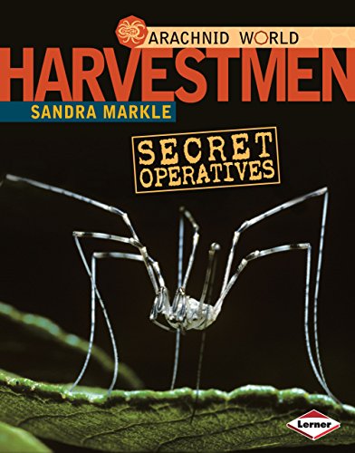 Harvestmen: Secret Operatives (Arachnid World) (9780761350422) by Markle, Sandra