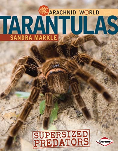 9780761350439: Tarantulas: Supersized Predators (Arachnid World)