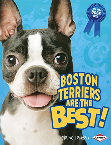 9780761350552: Boston Terriers Are the Best! (The Best Dogs Ever)