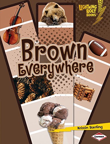 Stock image for Brown Everywhere for sale by Better World Books