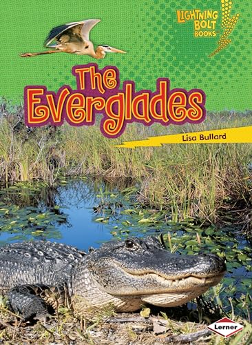 Stock image for The Everglades (Lightning Bolt Books  ? Famous Places) for sale by Orion Tech