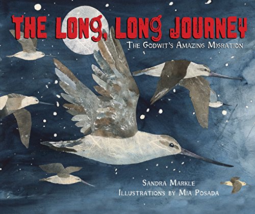 Beispielbild fr The Long, Long Journey: The Godwit's Amazing Migration zum Verkauf von SecondSale