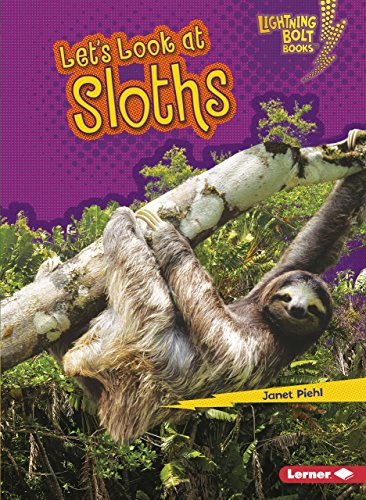 Stock image for Let's Look at Sloths for sale by Better World Books