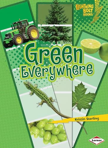 Stock image for Green Everywhere Format: Paperback for sale by INDOO