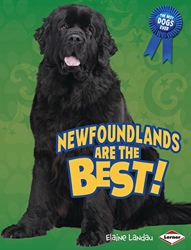 Newfoundlands Are the Best! (The Best Dogs Ever) - Landau, Elaine