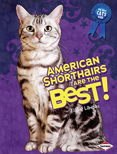 Beispielbild fr American Shorthairs Are the Best! (The Best Cats Ever) zum Verkauf von Wonder Book
