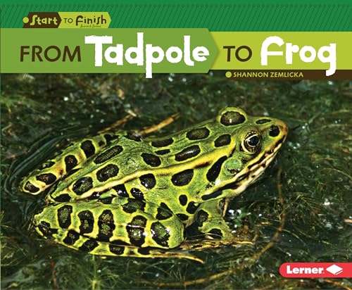 Beispielbild fr From Tadpole to Frog zum Verkauf von Better World Books: West