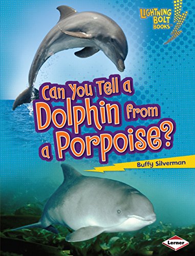 Beispielbild fr Can You Tell a Dolphin from a Porpoise? zum Verkauf von Better World Books