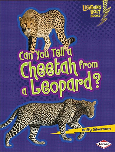 Can You Tell a Cheetah from a Leopard? (Lightning Bolt Books Â® â€• Animal Look-Alikes) (9780761367352) by Silverman, Buffy