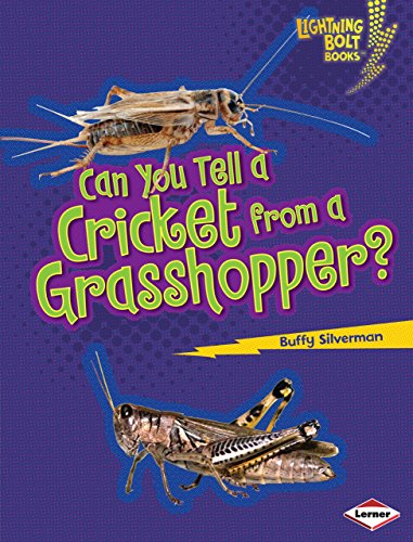 Can You Tell a Cricket from a Grasshopper? (Lightning Bolt Books Â® â€• Animal Look-Alikes) (9780761367369) by Silverman, Buffy