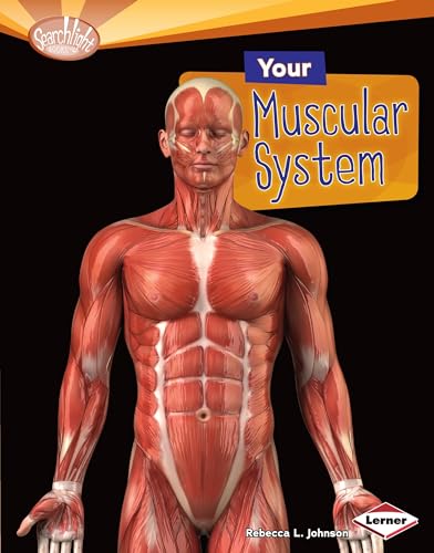 Stock image for Your Muscular System for sale by Better World Books: West