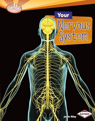 Stock image for Your Nervous System (Searchlight Books ? ? How Does Your Body Work?) for sale by Irish Booksellers