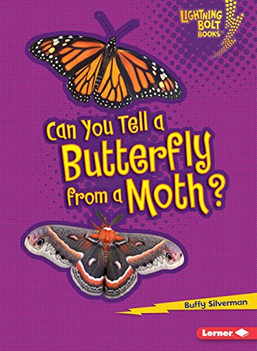 Can You Tell a Butterfly from a Moth? (Lightning Bolt Books Â® â€• Animal Look-Alikes) (9780761378440) by Silverman, Buffy