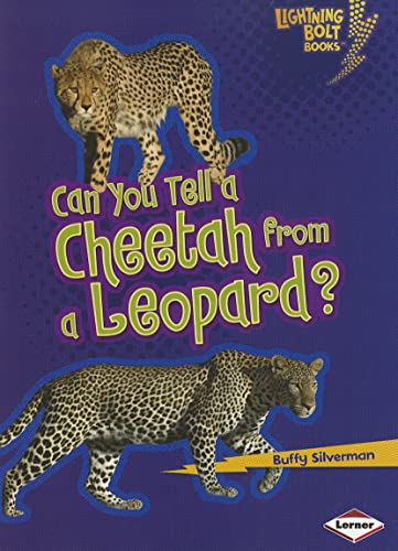Stock image for Can You Tell a Cheetah from a Leopard? (Lightning Bolt Books Animal Look-Alikes) for sale by Jenson Books Inc
