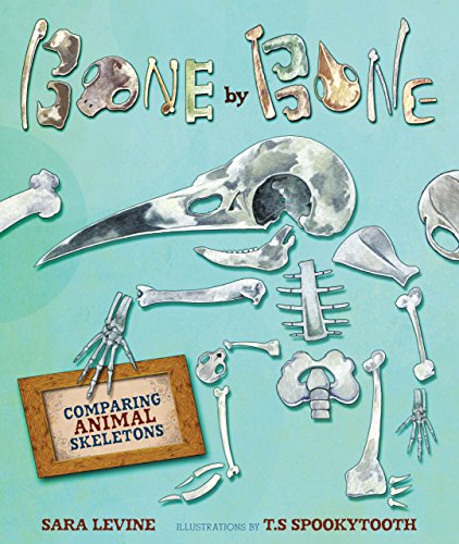 Beispielbild fr Bone by Bone: Comparing Animal Skeletons zum Verkauf von ThriftBooks-Atlanta