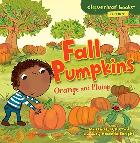 Imagen de archivo de Fall Pumpkins: Orange and Plump (Cloverleaf Books Falls Here!) a la venta por Goodwill