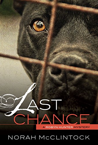 9780761385295: Last Chance (Robyn Hunter Mysteries)