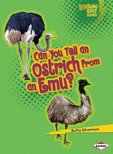 Beispielbild fr Can You Tell an Ostrich from an Emu? zum Verkauf von Better World Books