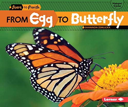 Stock image for From Egg to Butterfly (Start to Finish, Second Series) for sale by Your Online Bookstore