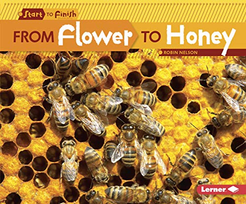 9780761385745: From Flower to Honey (Start to Finish: Nature's Cycles)