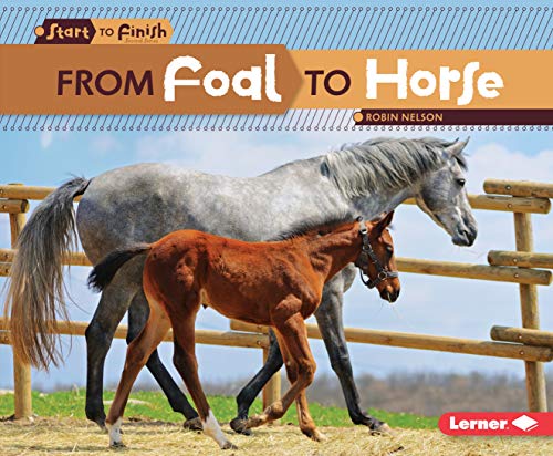 9780761386728: From Foal to Horse (Start to Finish)