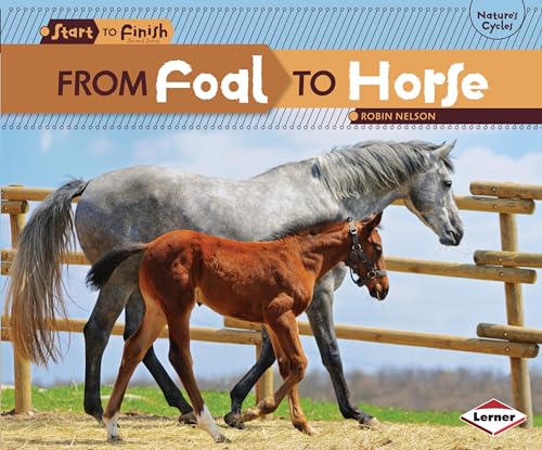Stock image for From Foal to Horse for sale by Better World Books