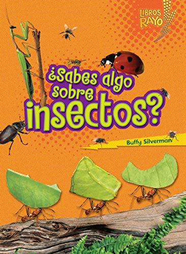 Beispielbild fr ¿Sabes algo sobre insectos? (Do You Know about Insects?) (Libros Rayo  Conoce los grupos de animales (Lightning Bolt Books ®  Meet the Animal Groups)) (Spanish Edition) zum Verkauf von Reliant Bookstore