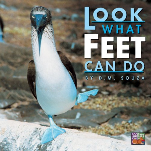 Beispielbild fr Look What Feet Can Do zum Verkauf von Better World Books: West