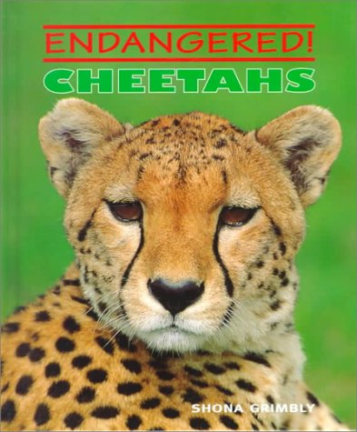 Stock image for Cheetahs (Endangered!) for sale by Bookmonger.Ltd