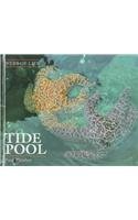 Stock image for Tide Pool (Webs of Life) for sale by SecondSale