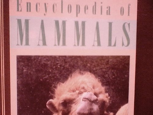 Stock image for Encyclopedia of Mammals (Volume 3, Bea-cat) for sale by Better World Books