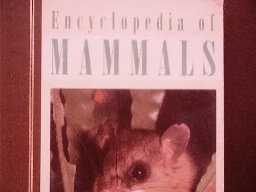 Stock image for Encyclopedia of Mammals (Volume 13, Rat-sea) for sale by Better World Books
