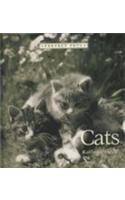 Imagen de archivo de Cats a la venta por Better World Books