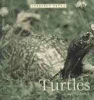 Stock image for Turtles for sale by Better World Books