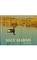 Beispielbild fr Salt Marsh zum Verkauf von Better World Books