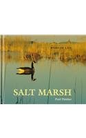 Stock image for Salt Marsh for sale by Better World Books: West