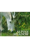 Alpine Meadow (Webs of Life) (9780761408369) by Fleisher, Paul