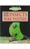 How Insects Work Together (Nature's Mysteries) (9780761408598) by Bailey, Jill