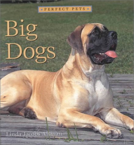 Beispielbild fr Big Dogs zum Verkauf von Better World Books