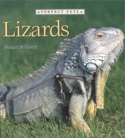 Stock image for Lizards for sale by Better World Books