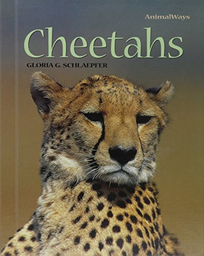 Stock image for Cheetahs for sale by ThriftBooks-Dallas