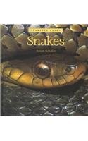 9780761413967: Snakes (Perfect Pets)