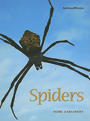 Beispielbild fr Spiders zum Verkauf von Better World Books