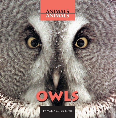 9780761417521: Owls (Animals, Animals)